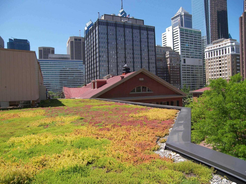 paysagiste-CHATEAUVIEUX-min_green-roof-portfolio-4